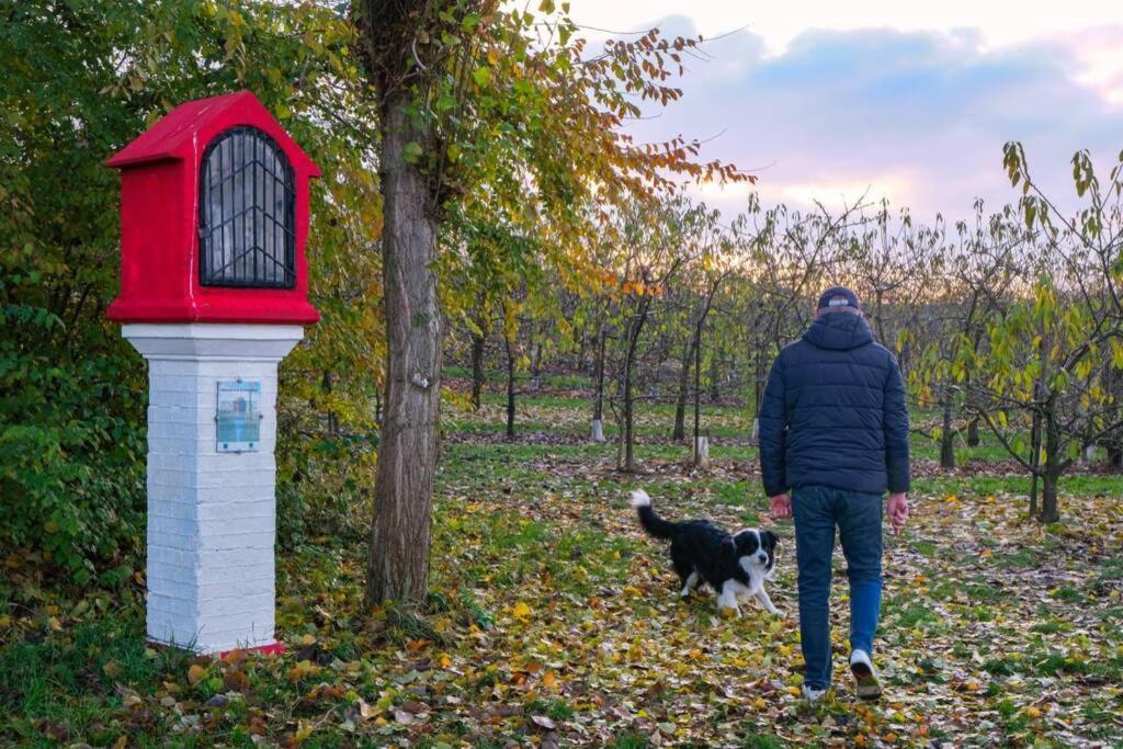 Hasbania Vakantiewoning Gingelom Екстериор снимка