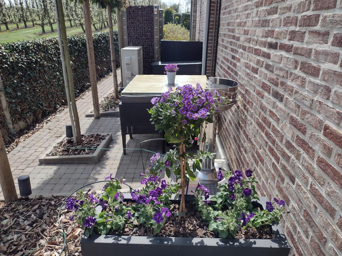 Hasbania Vakantiewoning Gingelom Екстериор снимка